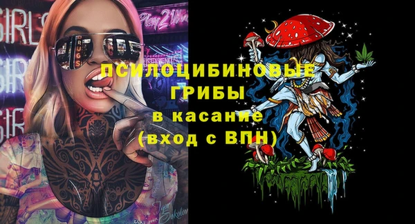 mdpv Пересвет