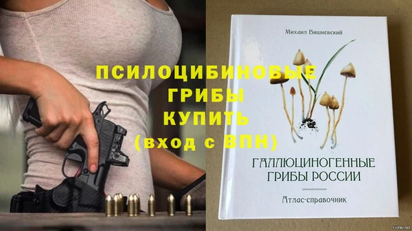 герыч Алексеевка