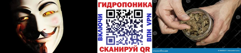 Марихуана White Widow Полярный